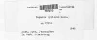 Image Associated With the Occurence